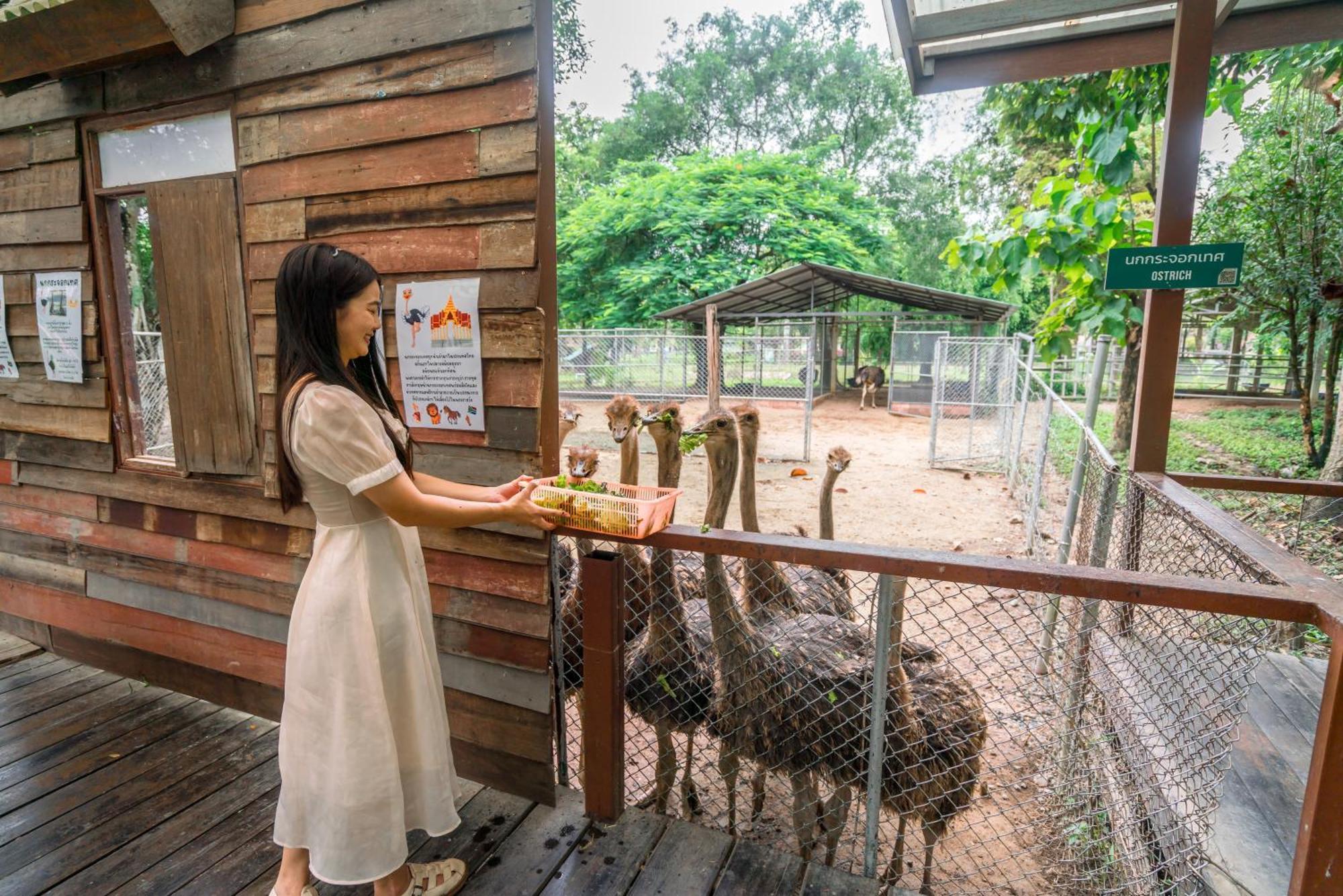 Horizon Village&Resort SHA Plus Doi Saket Exteriör bild